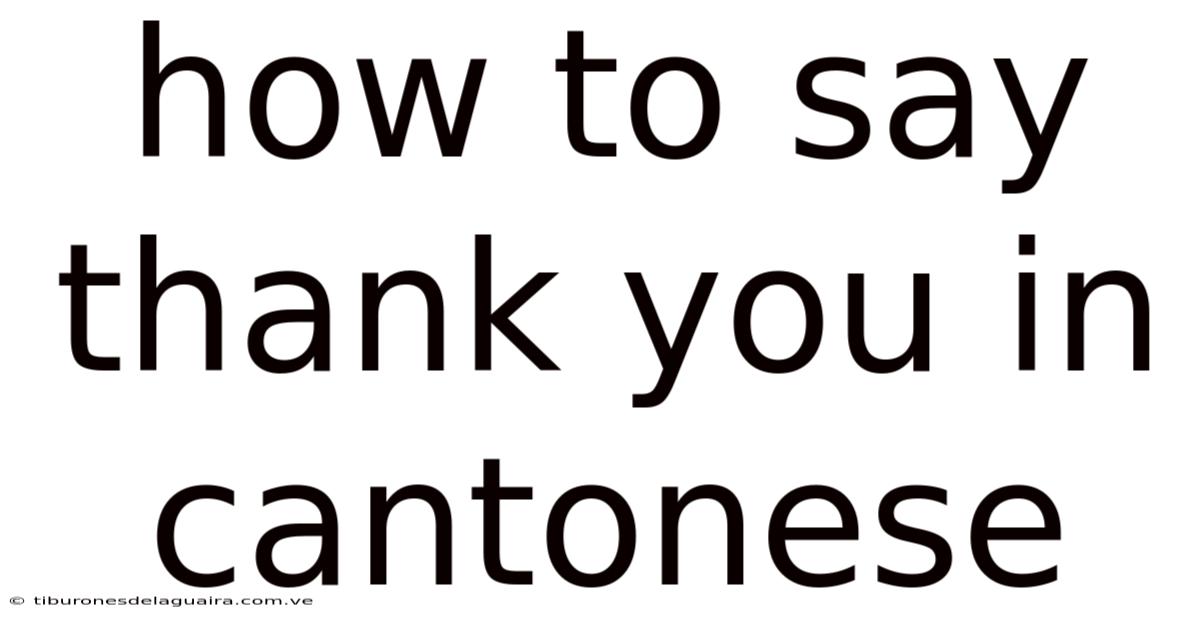 How To Say Thank You In Cantonese