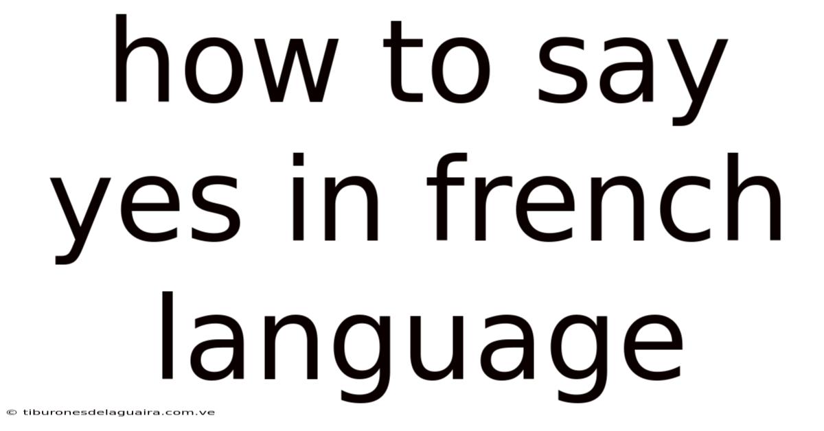 How To Say Yes In French Language