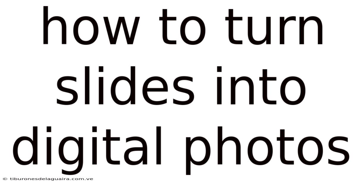 How To Turn Slides Into Digital Photos