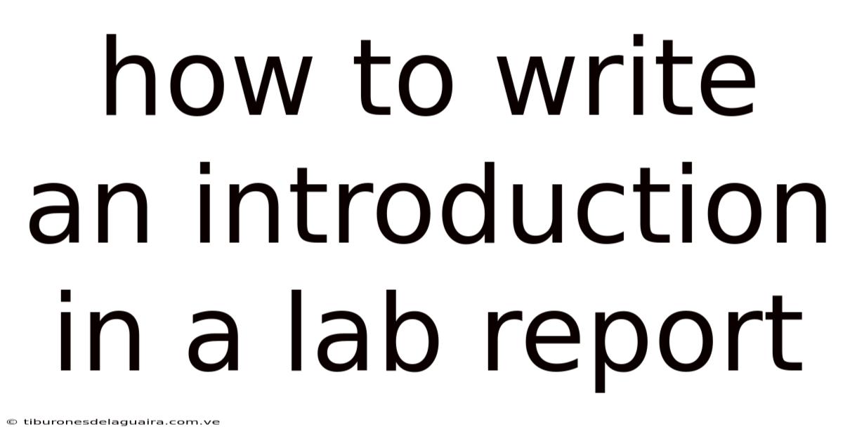 How To Write An Introduction In A Lab Report
