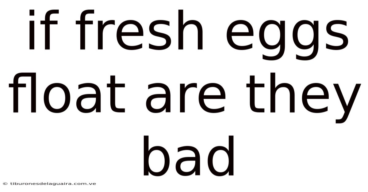If Fresh Eggs Float Are They Bad