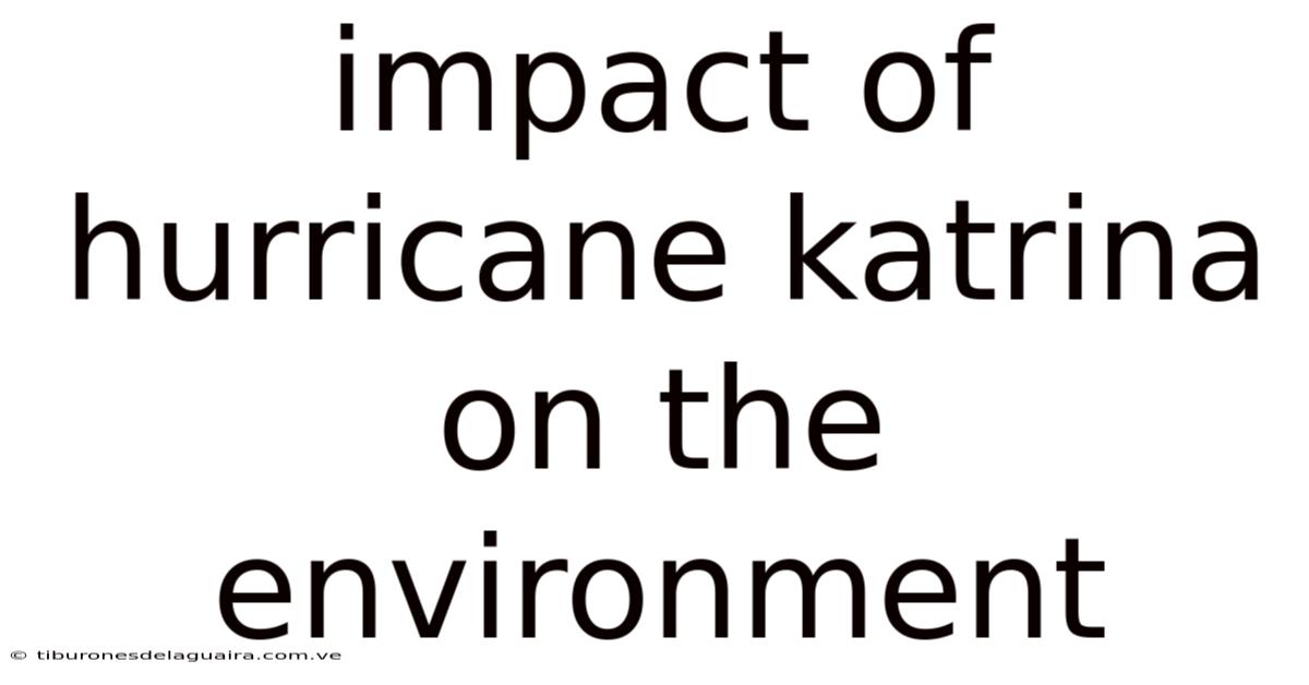 Impact Of Hurricane Katrina On The Environment