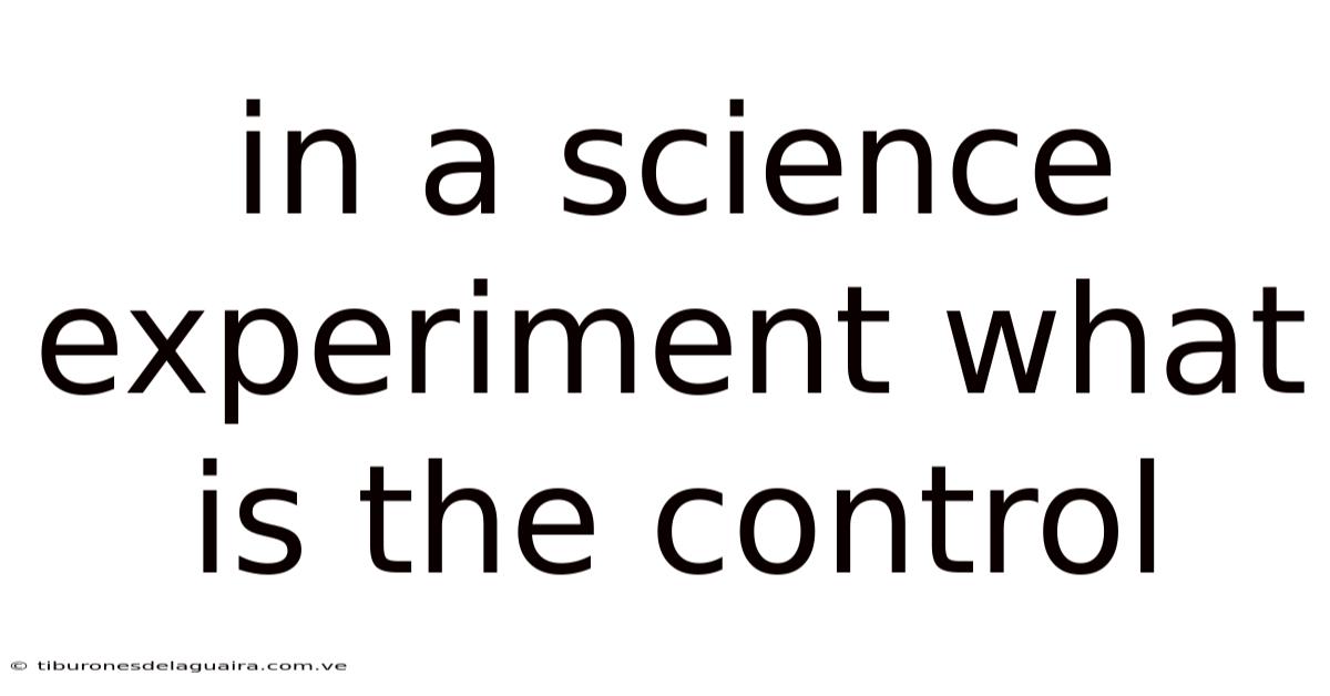 In A Science Experiment What Is The Control