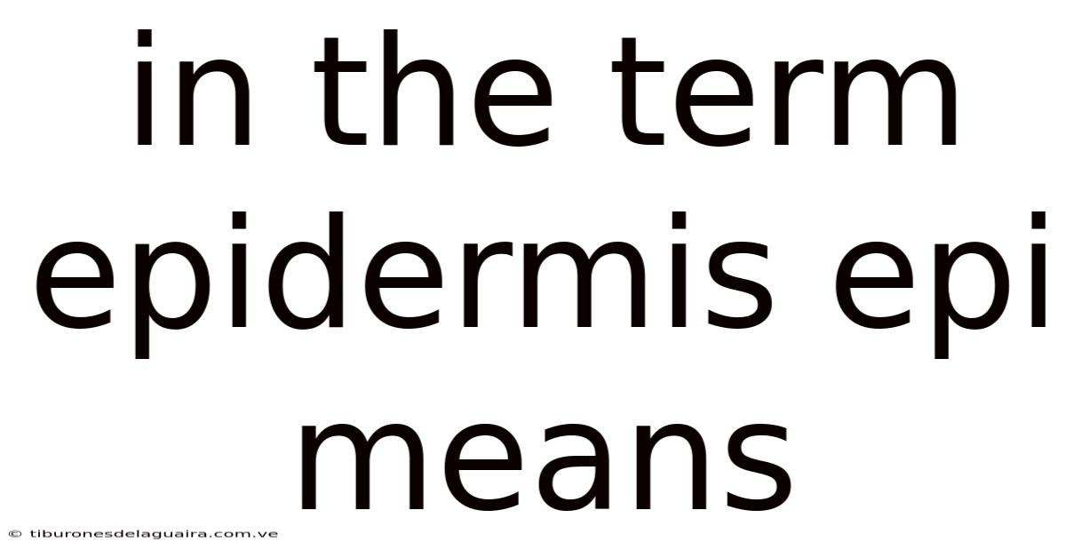 In The Term Epidermis Epi Means