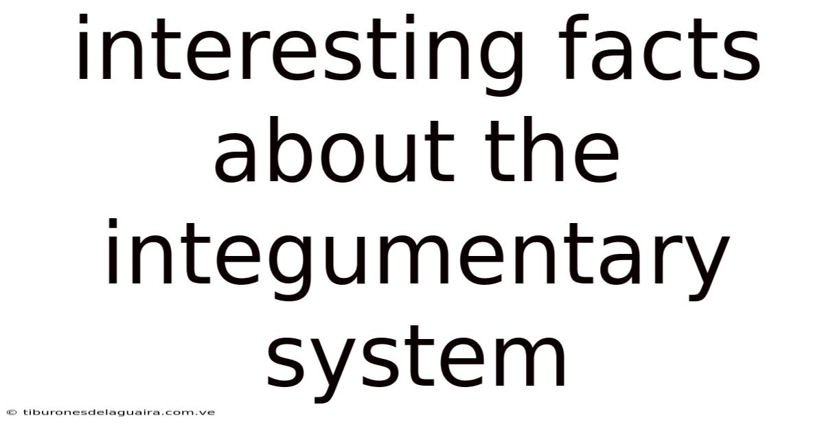 Interesting Facts About The Integumentary System