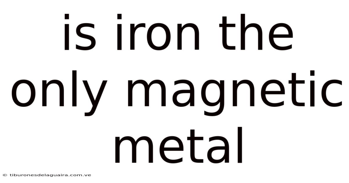 Is Iron The Only Magnetic Metal