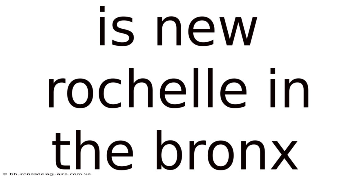 Is New Rochelle In The Bronx