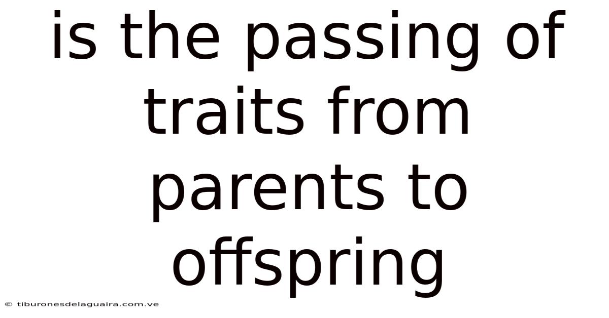 Is The Passing Of Traits From Parents To Offspring