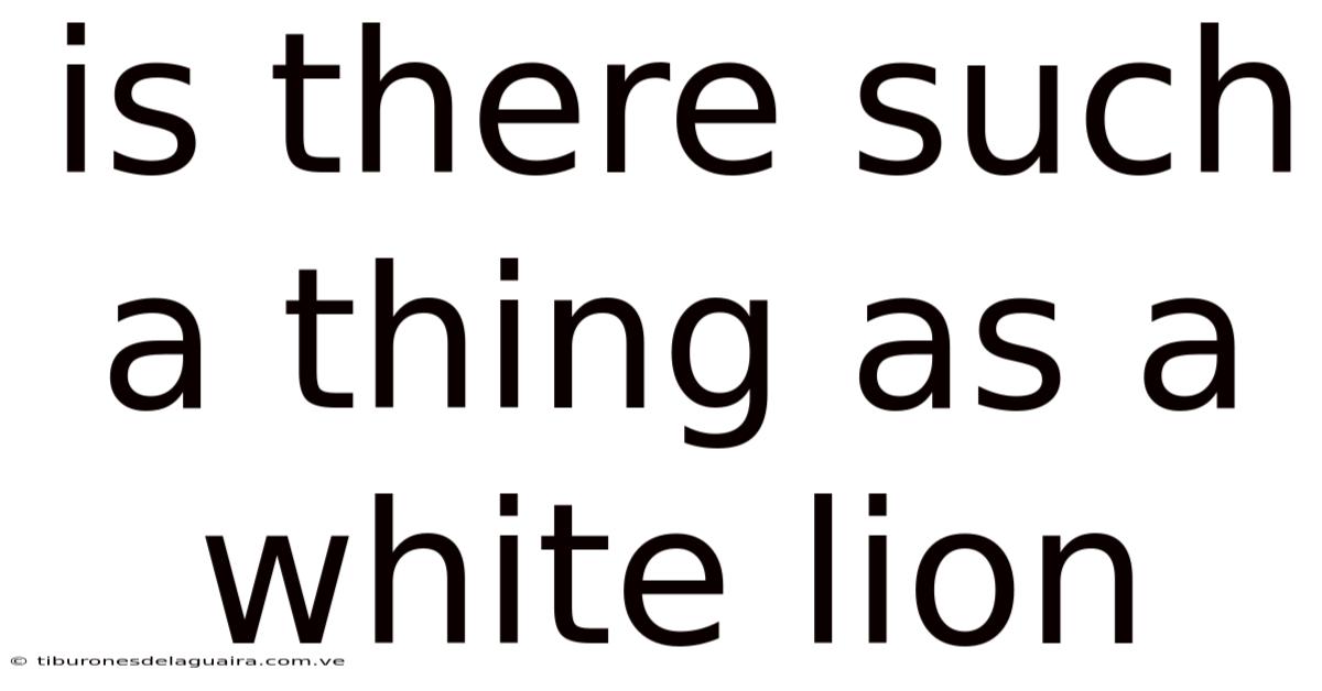 Is There Such A Thing As A White Lion