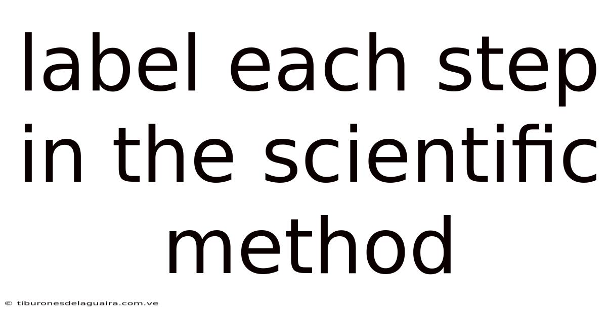 Label Each Step In The Scientific Method