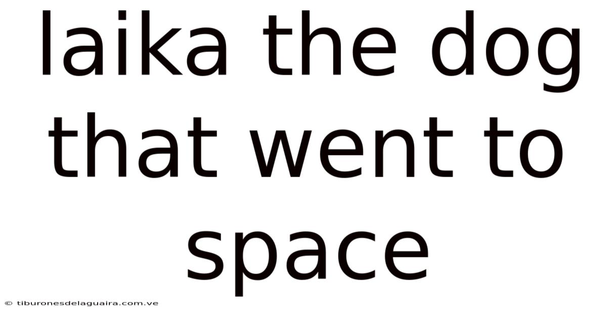 Laika The Dog That Went To Space