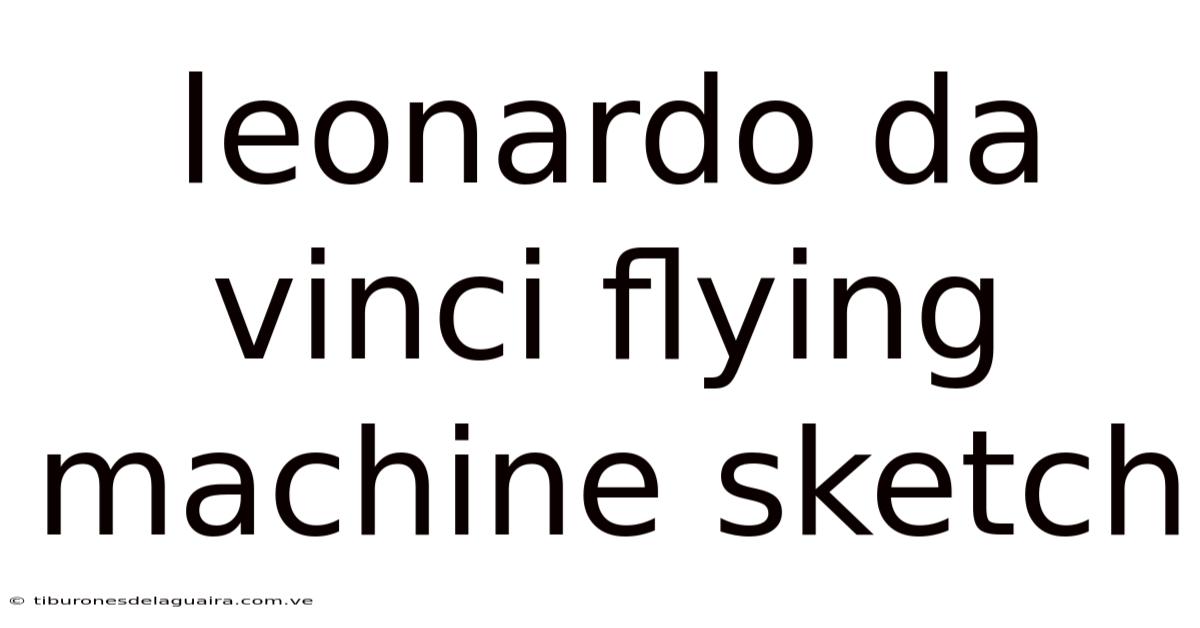 Leonardo Da Vinci Flying Machine Sketch