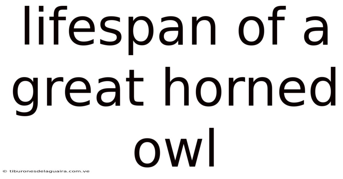 Lifespan Of A Great Horned Owl