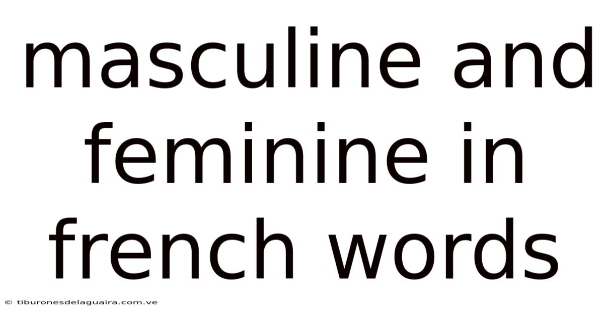 Masculine And Feminine In French Words