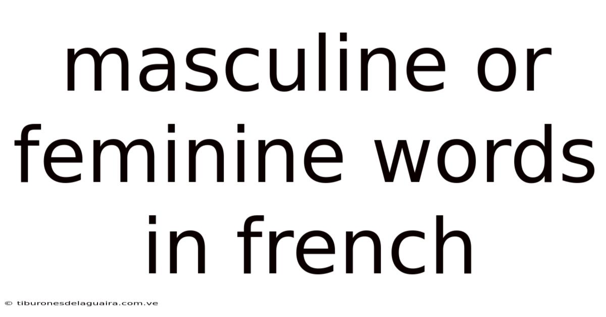 Masculine Or Feminine Words In French
