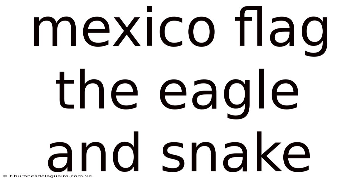 Mexico Flag The Eagle And Snake