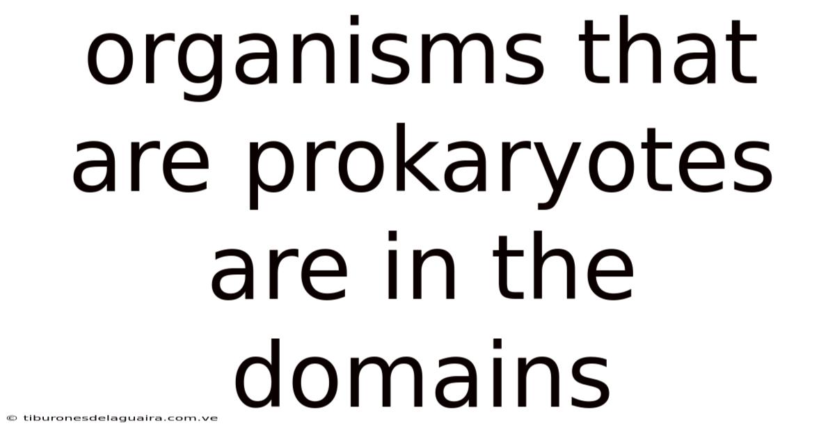 Organisms That Are Prokaryotes Are In The Domains