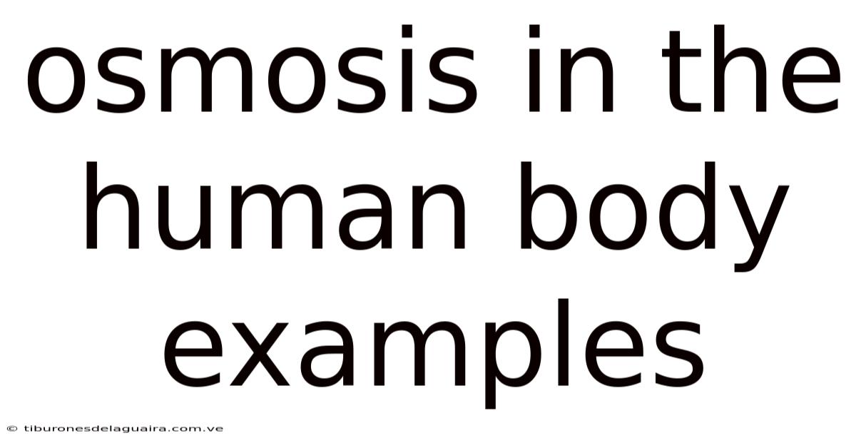 Osmosis In The Human Body Examples