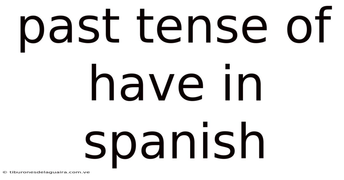 Past Tense Of Have In Spanish