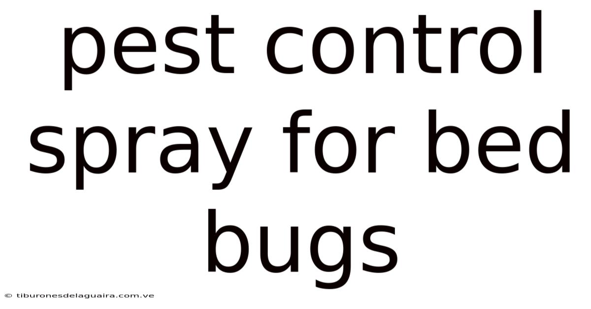 Pest Control Spray For Bed Bugs