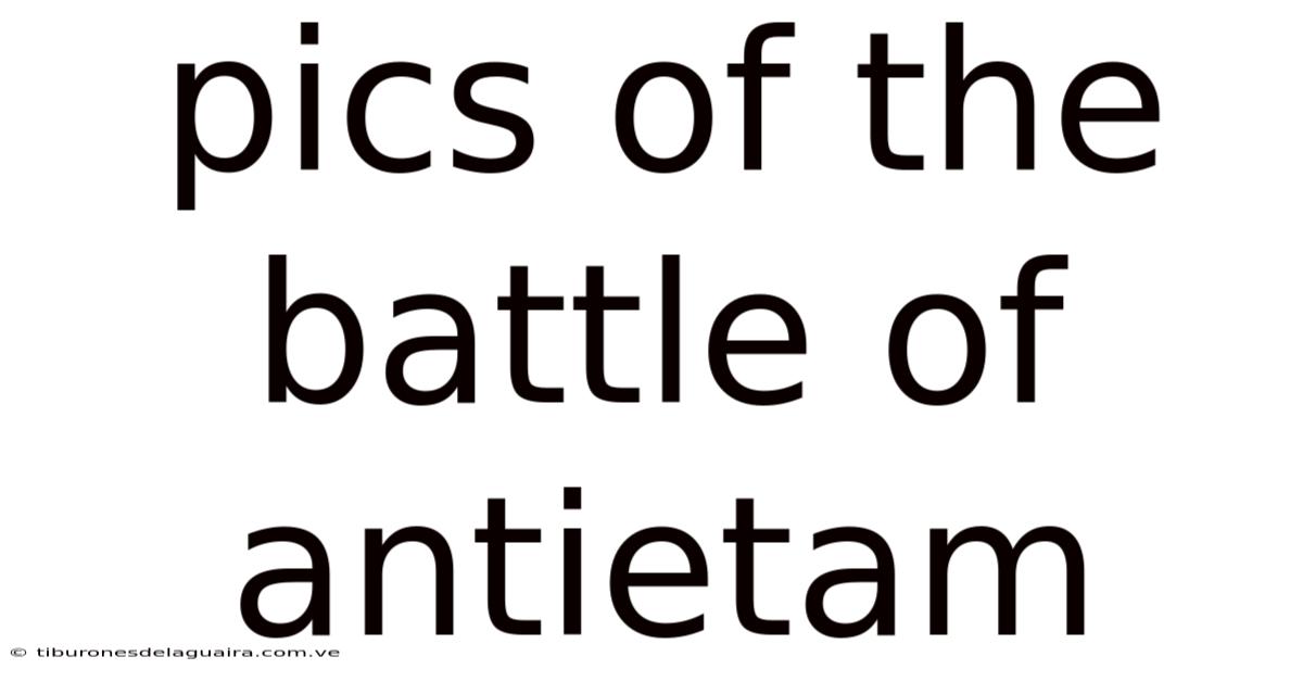 Pics Of The Battle Of Antietam