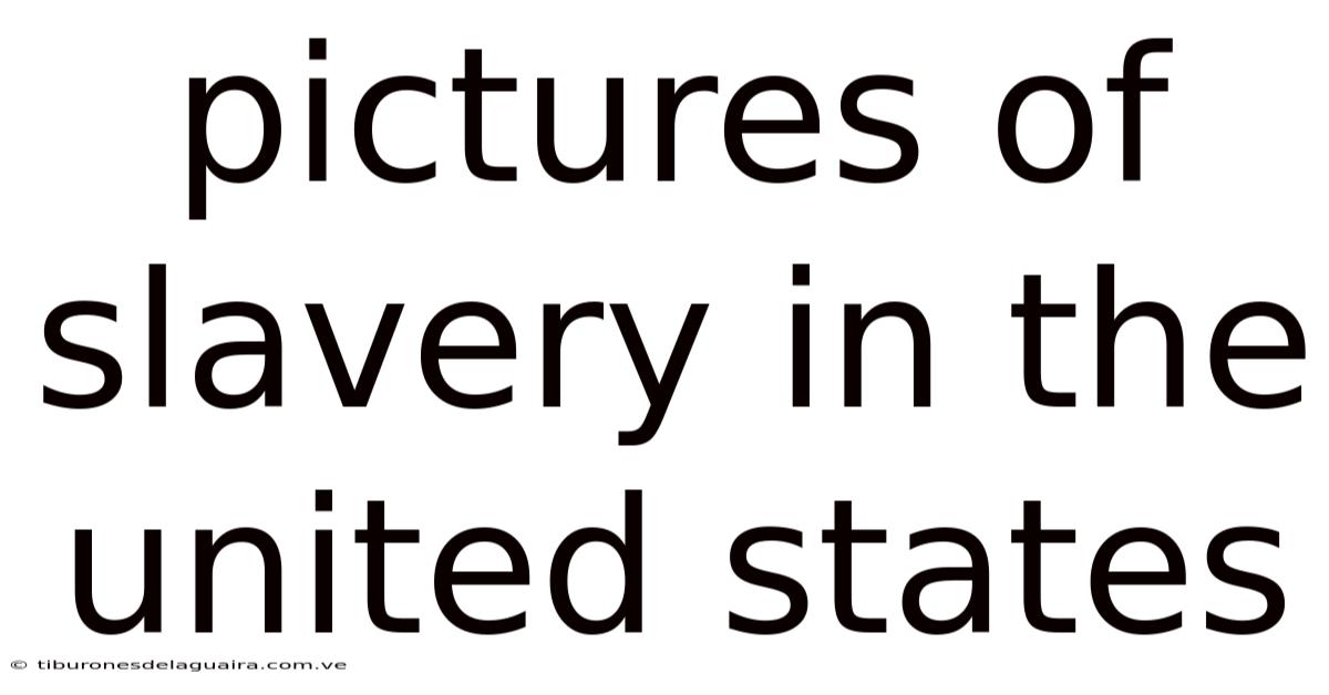 Pictures Of Slavery In The United States