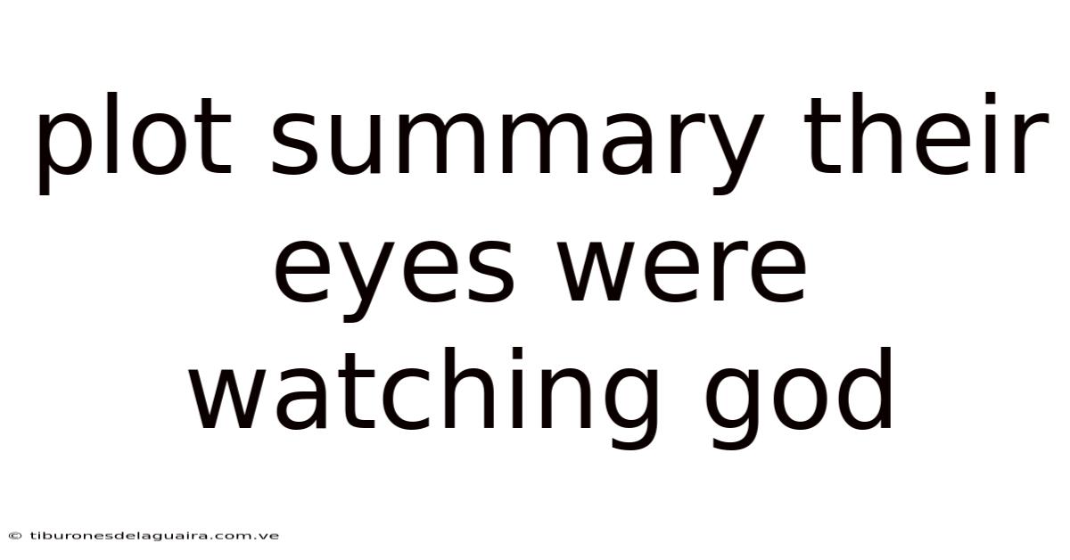 Plot Summary Their Eyes Were Watching God