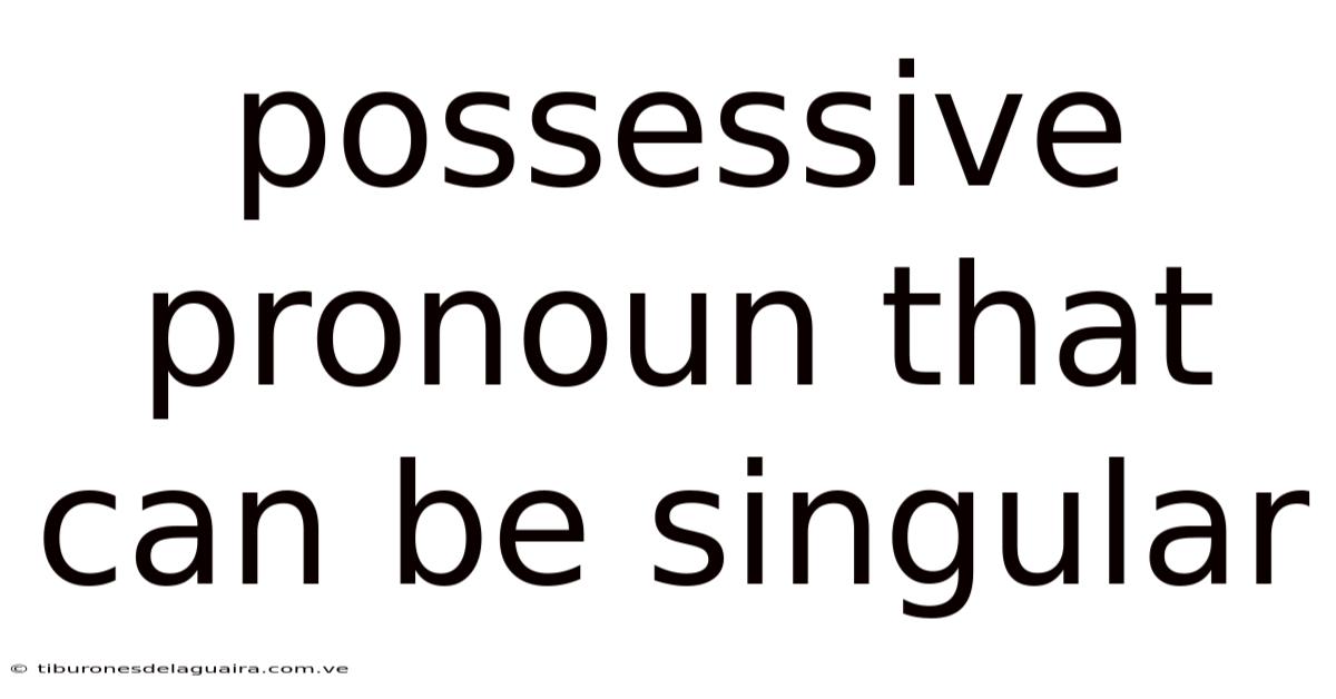 Possessive Pronoun That Can Be Singular