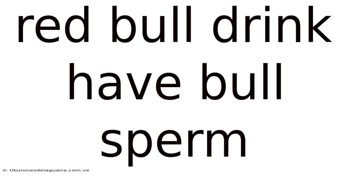 Red Bull Drink Have Bull Sperm