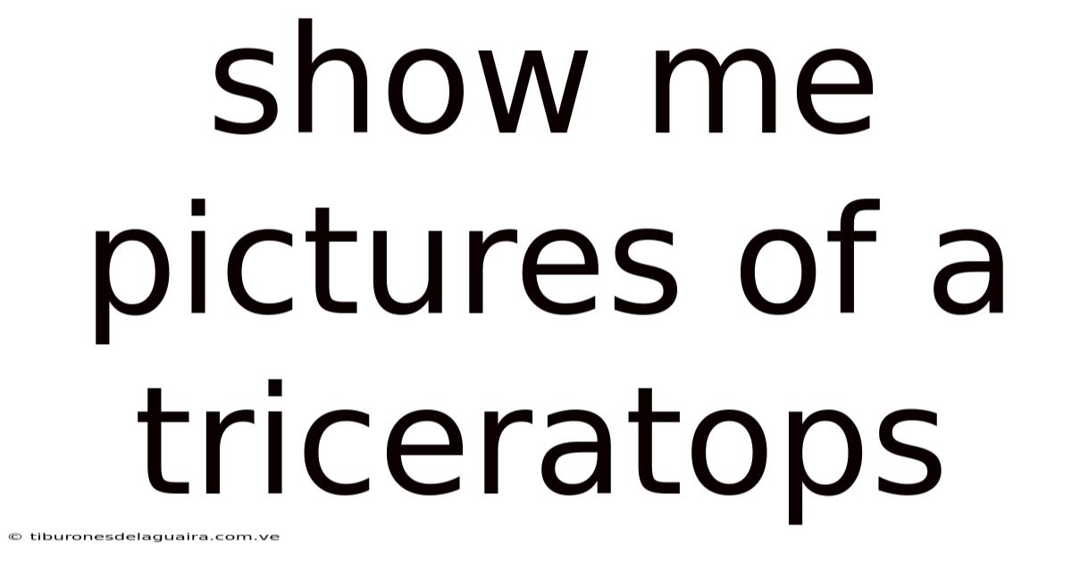 Show Me Pictures Of A Triceratops