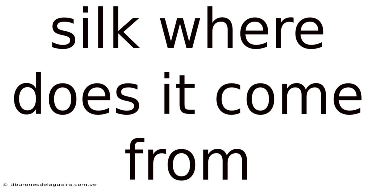 Silk Where Does It Come From