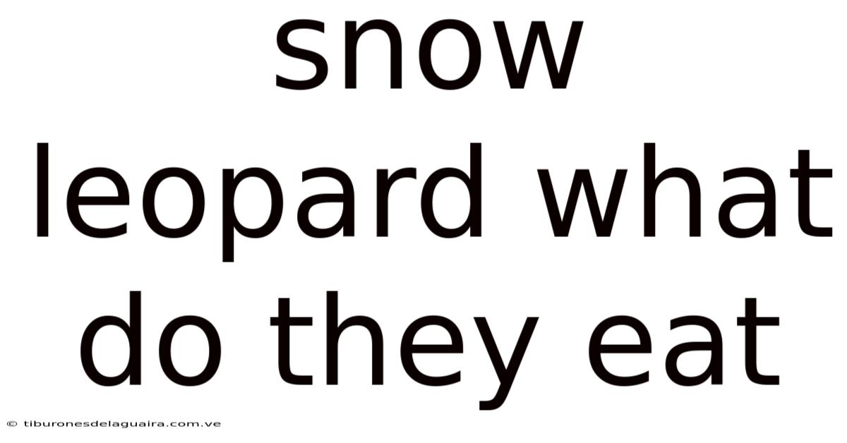 Snow Leopard What Do They Eat