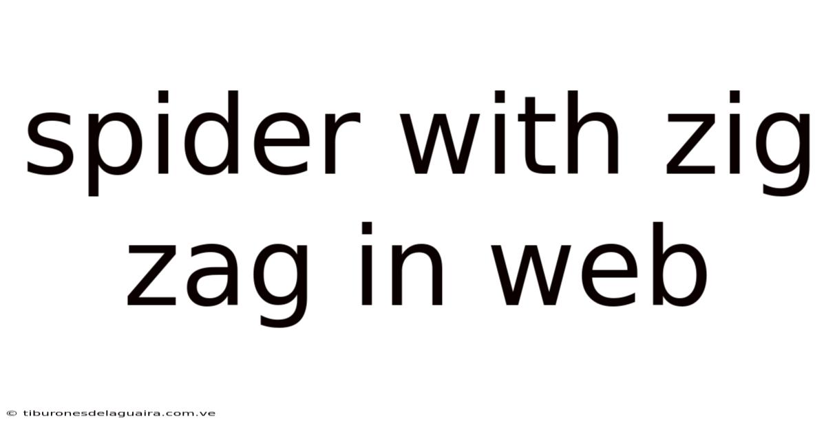 Spider With Zig Zag In Web