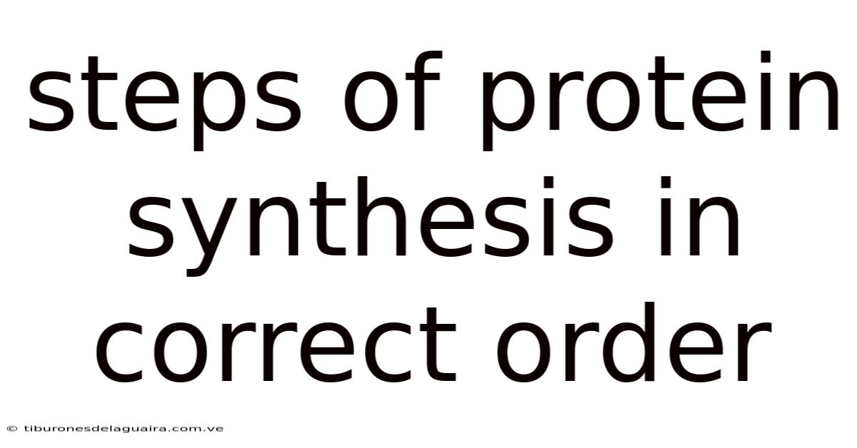 Steps Of Protein Synthesis In Correct Order