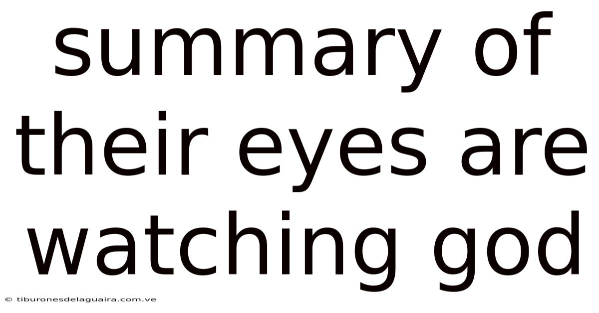 Summary Of Their Eyes Are Watching God