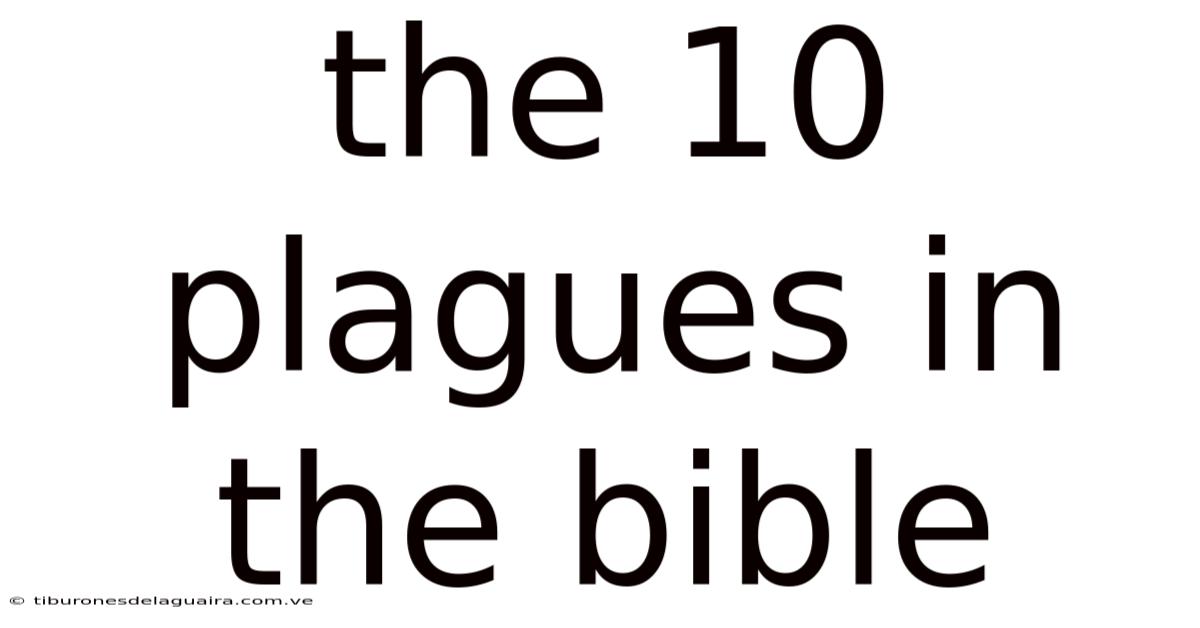 The 10 Plagues In The Bible