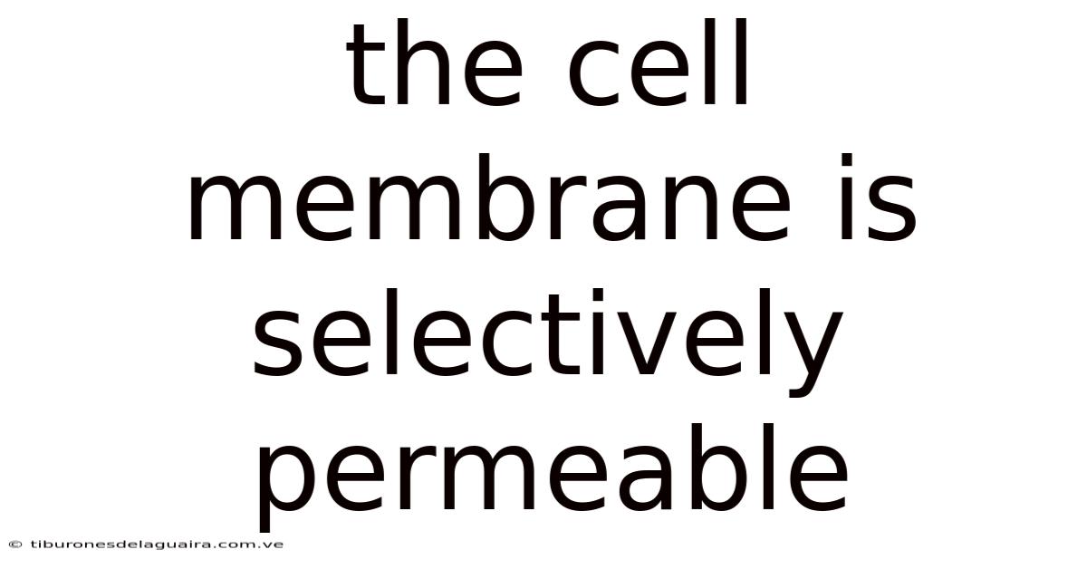 The Cell Membrane Is Selectively Permeable