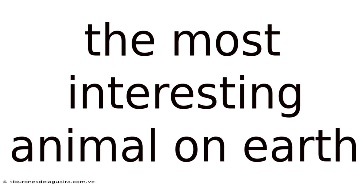 The Most Interesting Animal On Earth