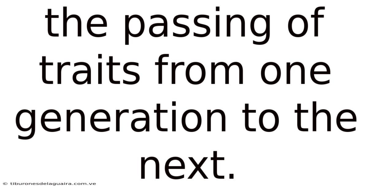 The Passing Of Traits From One Generation To The Next.