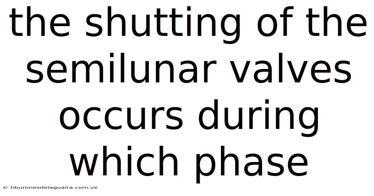 The Shutting Of The Semilunar Valves Occurs During Which Phase