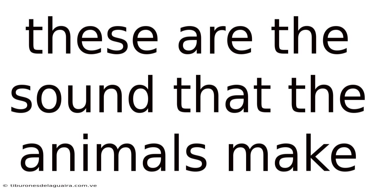 These Are The Sound That The Animals Make