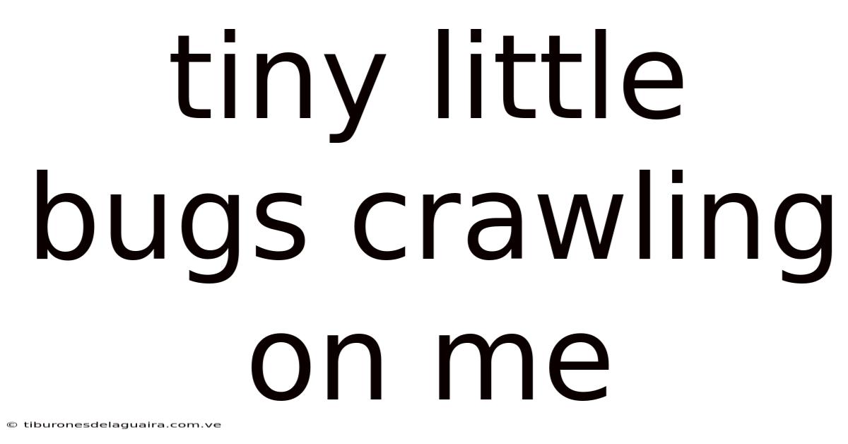 Tiny Little Bugs Crawling On Me