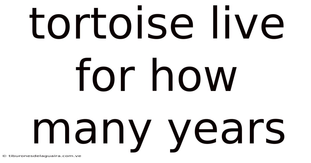 Tortoise Live For How Many Years