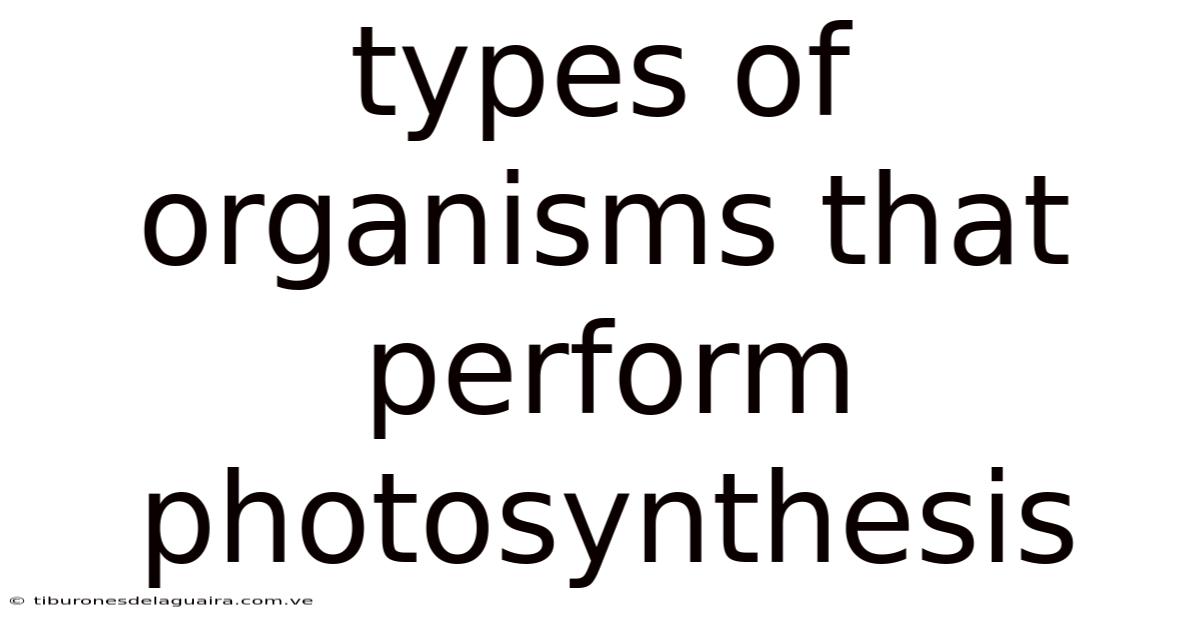 Types Of Organisms That Perform Photosynthesis
