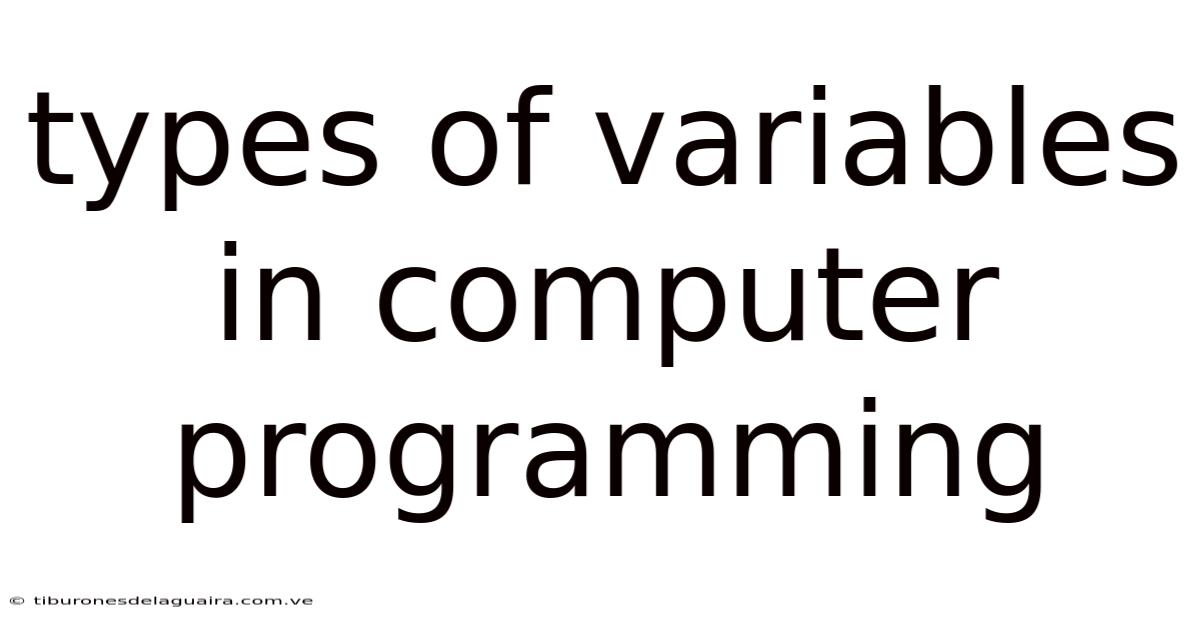 Types Of Variables In Computer Programming