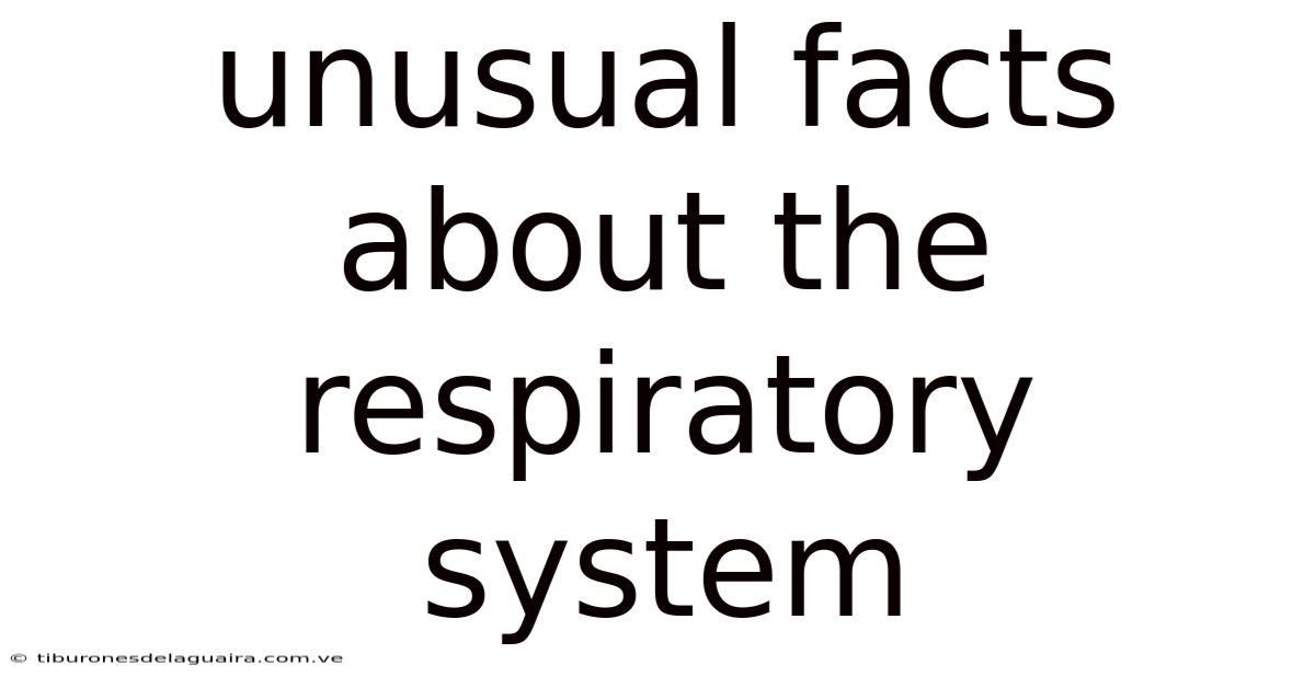 Unusual Facts About The Respiratory System