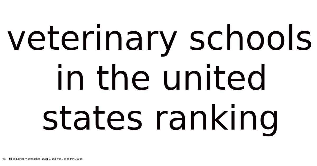 Veterinary Schools In The United States Ranking