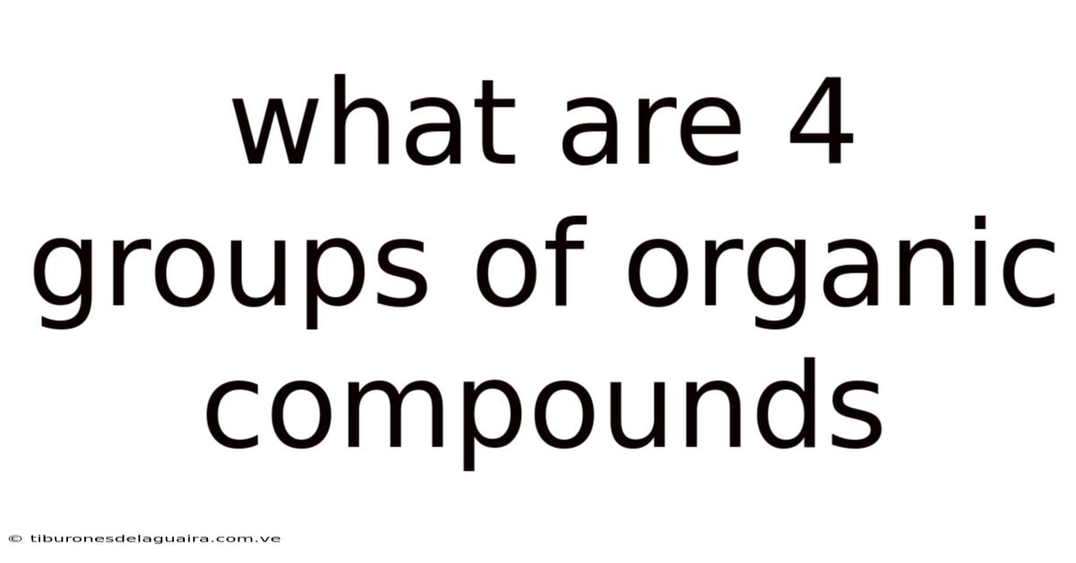 What Are 4 Groups Of Organic Compounds
