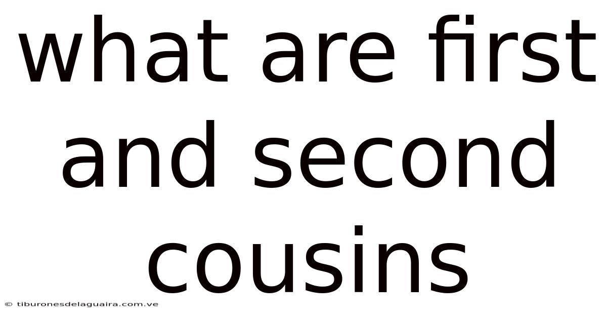 What Are First And Second Cousins
