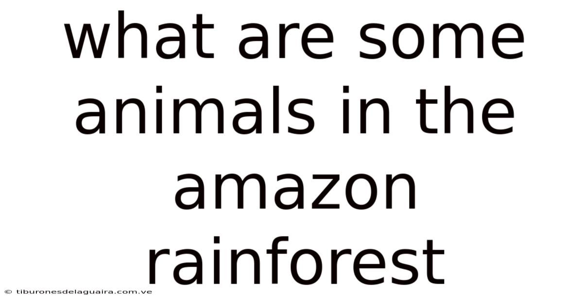 What Are Some Animals In The Amazon Rainforest